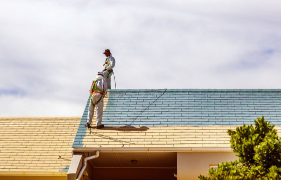 1709634653_24_roof_painting_diy_or_hire_a_professional_1.jpg